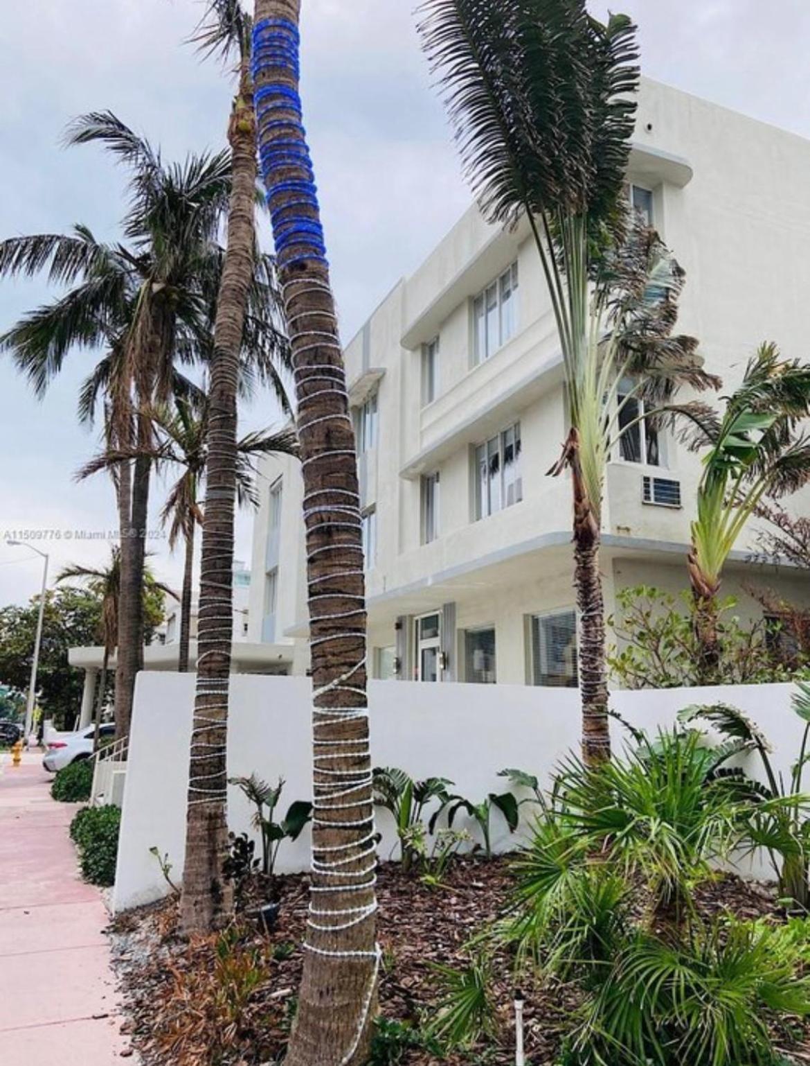 Ocean Dream Apartment Miami Beach Exterior foto